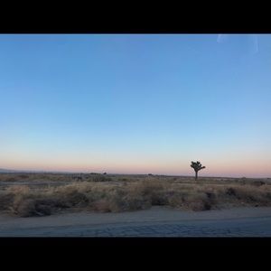 Meet your Posher, Rose